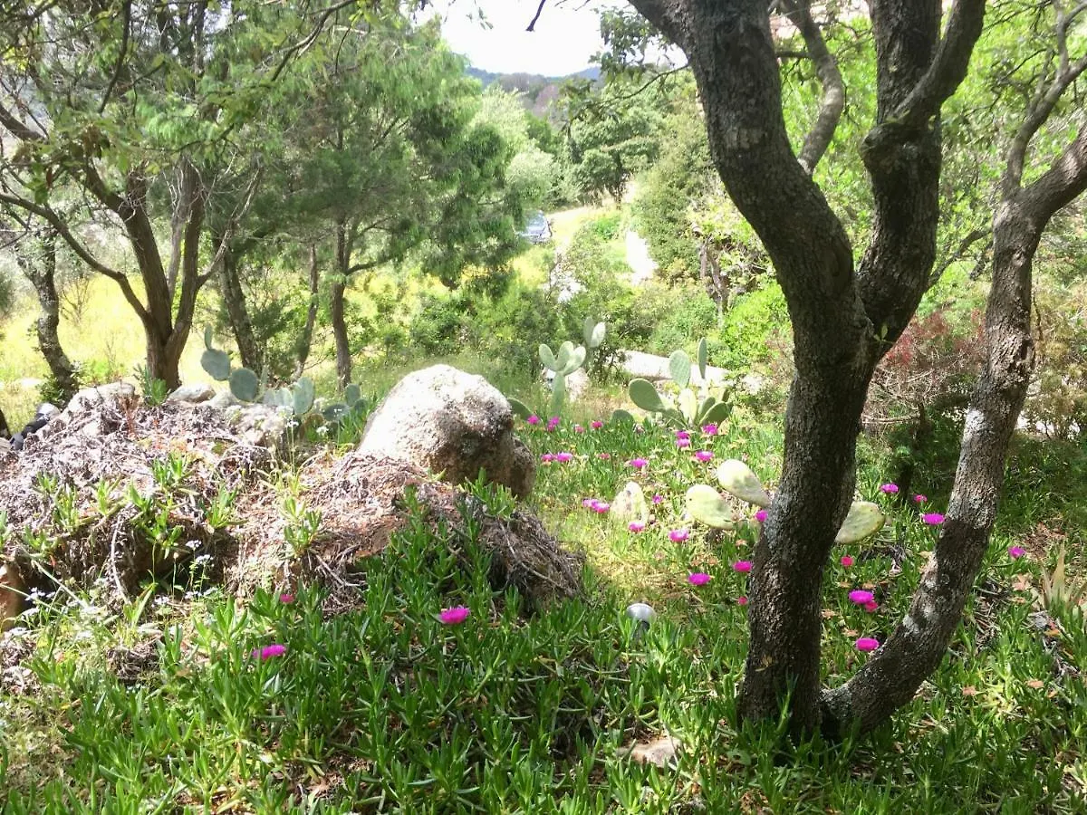 Casa vacanze Hideaway Costa Smeralda Villa Baja Sardinia Italia