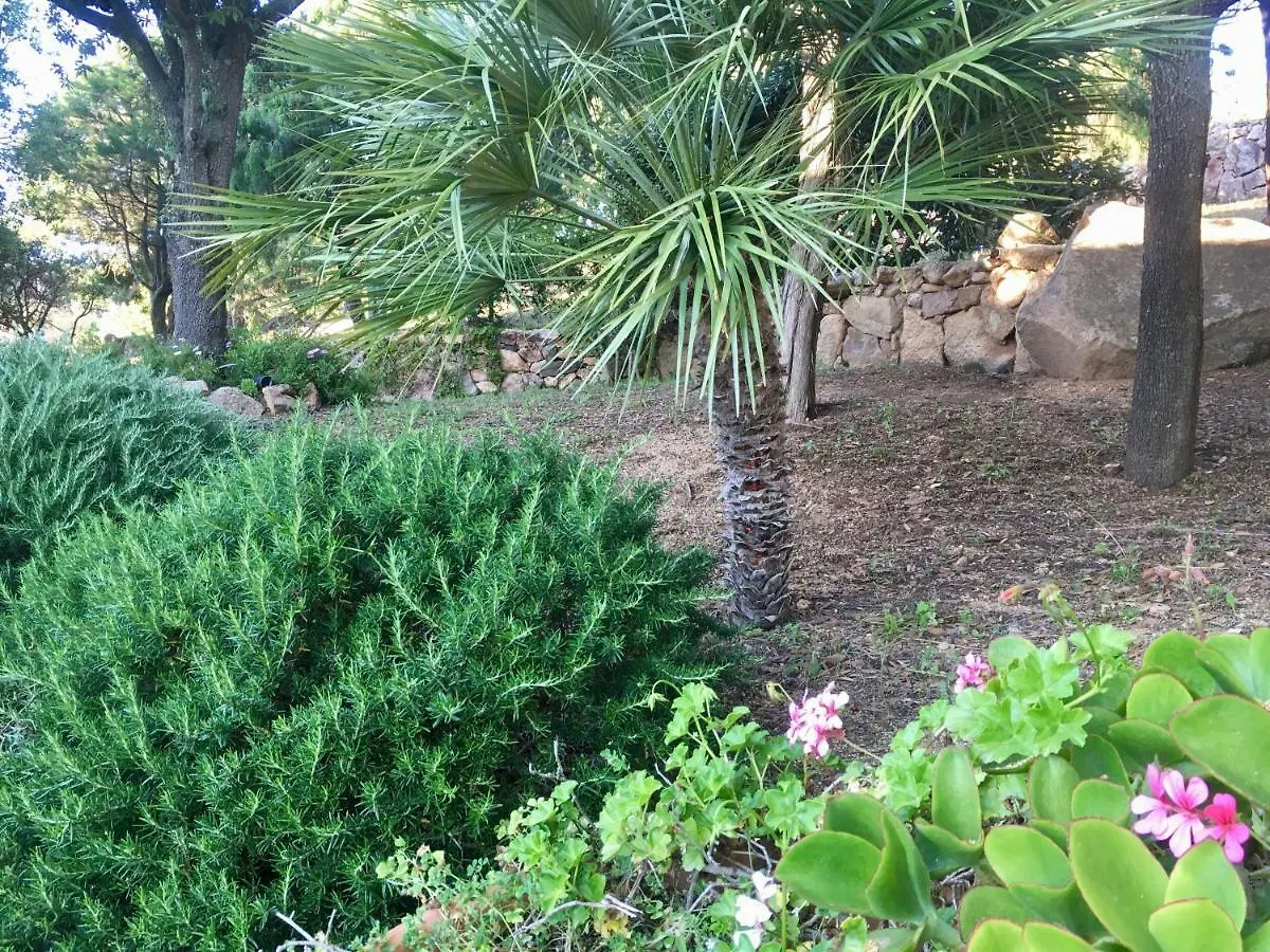 Hideaway Costa Smeralda Villa Baja Sardinia Casa vacanze